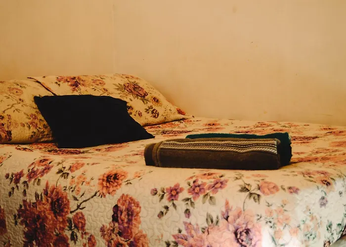 Live Rio Hostel